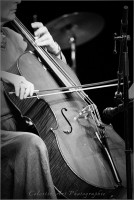 /album/carte-blanche/img-3006b-jpg/