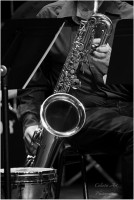 /album/carte-blanche/img-3026b-jpg/